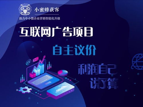 地產(chǎn)營銷公司攜手大數(shù)據(jù) 互聯(lián)網(wǎng)廣告項目,三個月賺了700萬